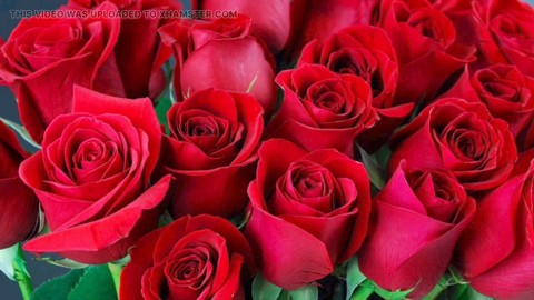 Hd動画, バングラデシュ, ママ