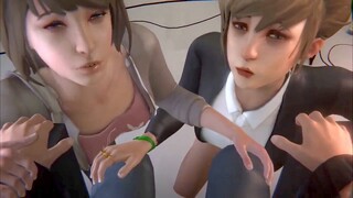 ビデオプレビュー
